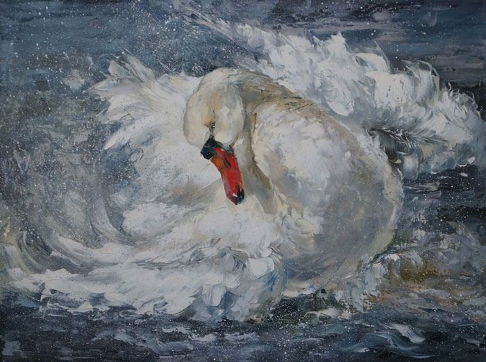 swan-birds- (700x521, 245Kb)