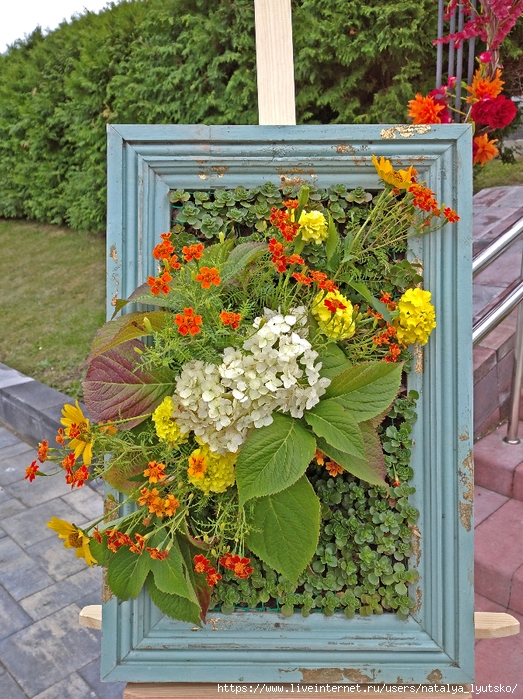 IMG_20241002_163028 (523x700, 415Kb)