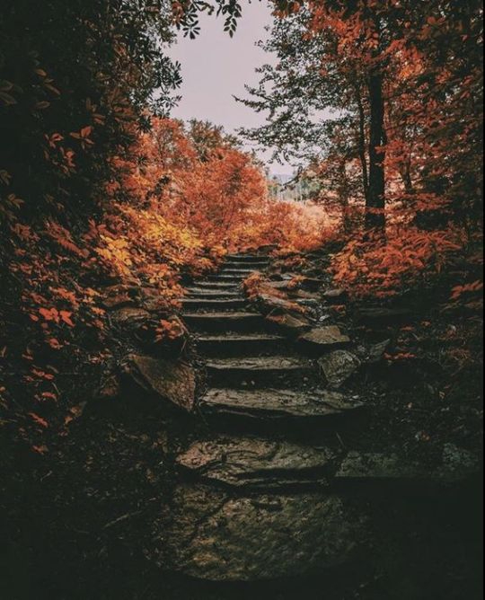 Autumn 001 (540x668, 253Kb)