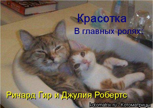 4743317_xD (520x369, 38Kb)
