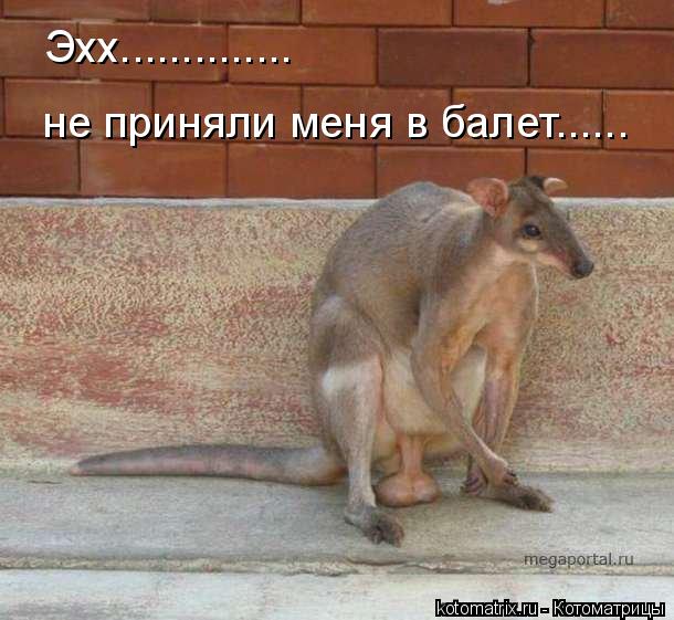 4743317_3v (610x561, 55Kb)