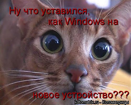 https://img0.liveinternet.ru/images/attach/d/4/163/125/163125042_4743317_xf.jpg