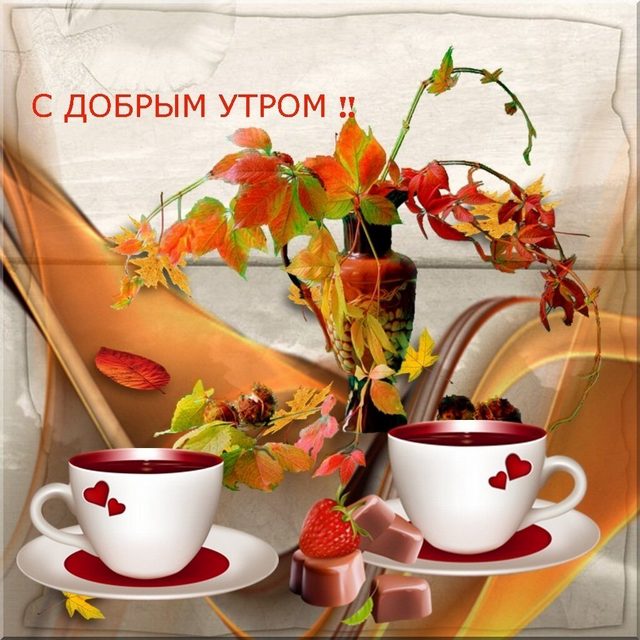 4743317_image20211013_09_44_50 (640x640, 80Kb)