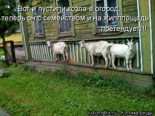 4743317_i0 (500x375, 51Kb)
