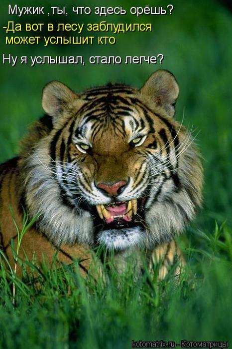 4743317_7B (466x700, 61Kb)