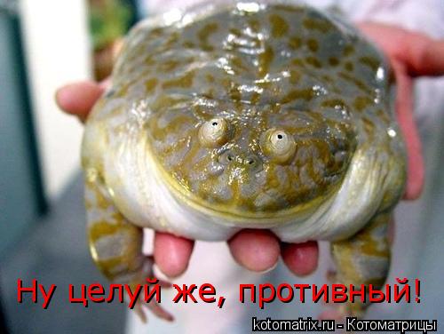 4743317_Tw (500x376, 32Kb)