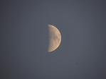  DSCN1005 (700x525, 284Kb)