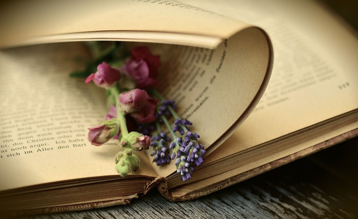 99a15427-f959-5650-9667-3d1a0f117a46 (700x428, 239Kb)