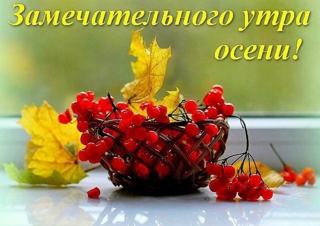 4743317_image20211012_09_52_34 (640x453, 83Kb)