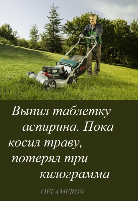 1620000_SINEVA4470trikg (482x700, 232Kb)