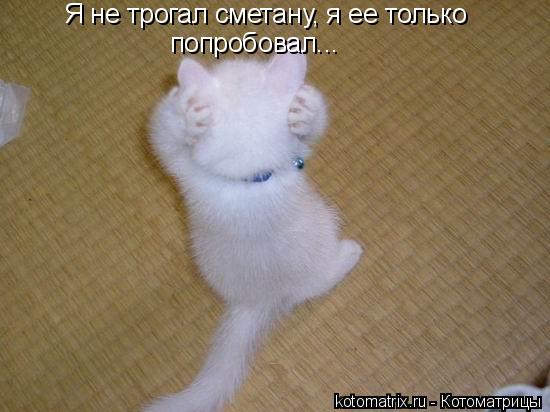 4743317_cr (550x412, 35Kb)