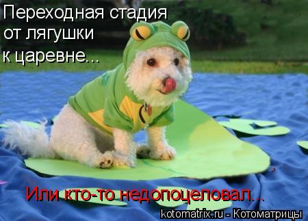 4743317_OX (450x323, 30Kb)