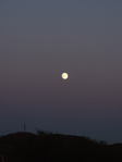  DSCN1169 (525x700, 253Kb)
