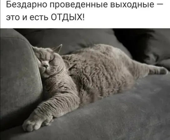 4743317_i_5 (544x450, 56Kb)