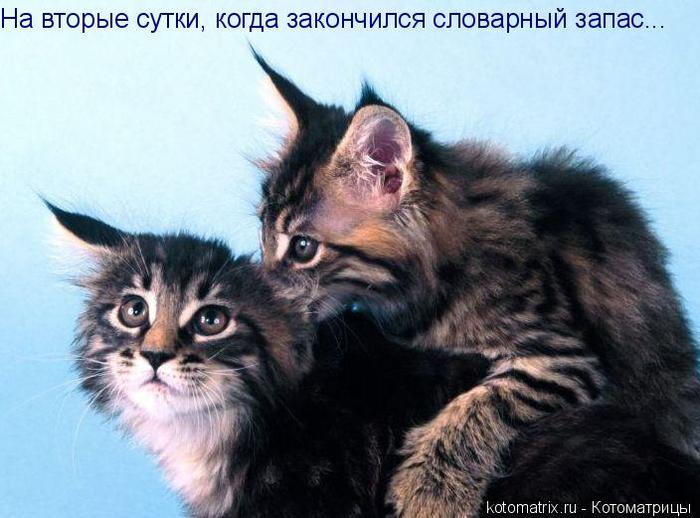 4743317_HP (700x518, 54Kb)