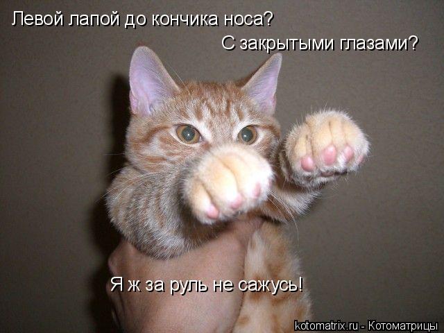4743317_bv (640x480, 45Kb)