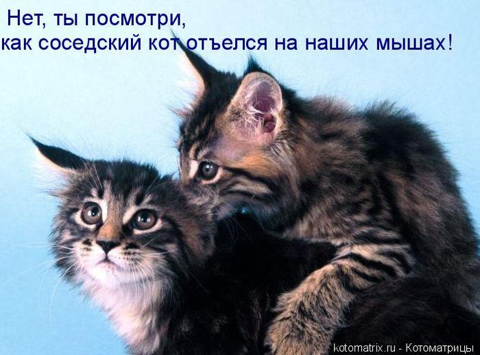 4743317_Kg (700x518, 57Kb)