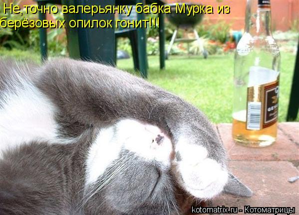 4743317_yN (599x432, 54Kb)