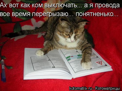 4743317_sI (500x374, 37Kb)