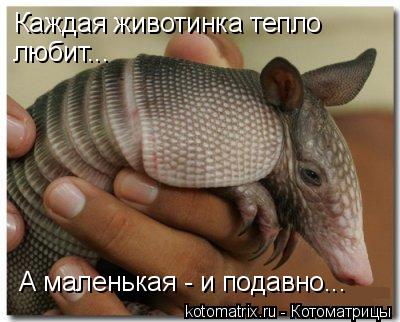 4743317_JJ (400x322, 30Kb)