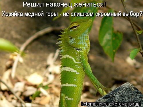 4743317_hv (500x375, 37Kb)