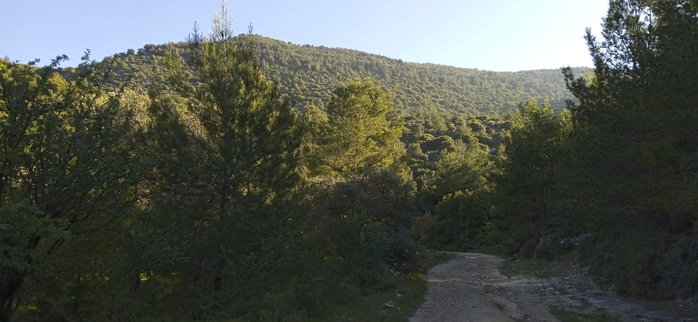 1681657145543 (700x322, 237Kb)