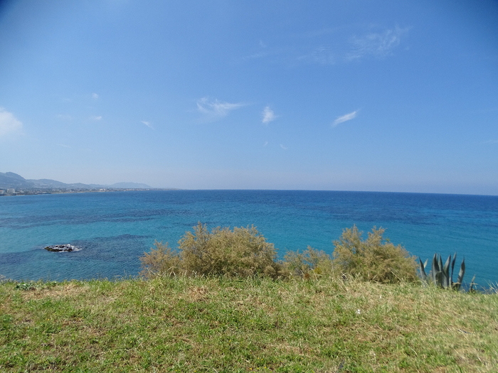 DSC00230 (700x525, 384Kb)