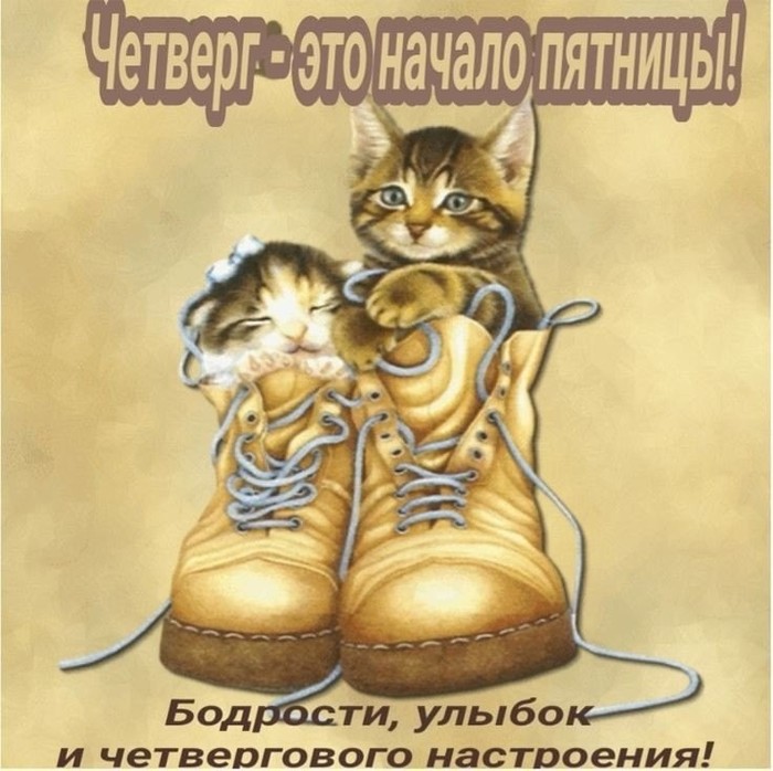 4743317_ff25bc13 (700x698, 102Kb)