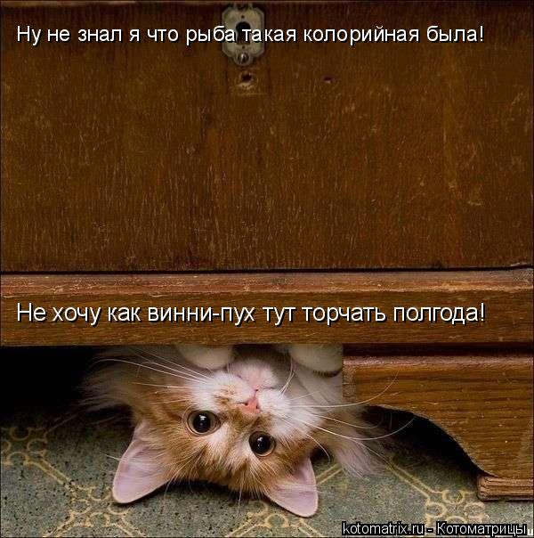 4743317_D_ (600x604, 73Kb)