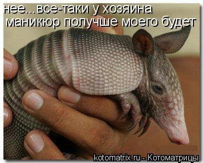 4743317_3s (400x322, 29Kb)