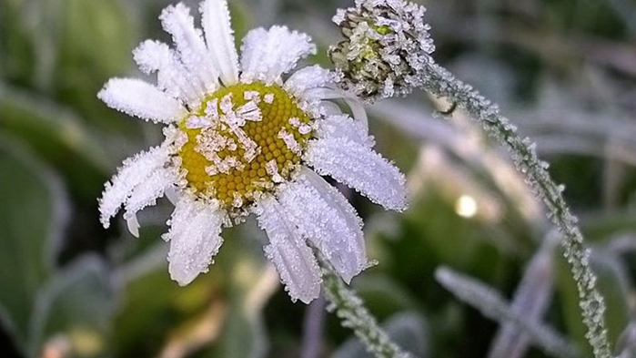 da4f17e0bd851568df5dc68c4e5af4ae0d741aae_1135_638_c (700x393, 243Kb)