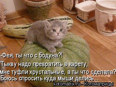 4743317_Br (400x300, 33Kb)