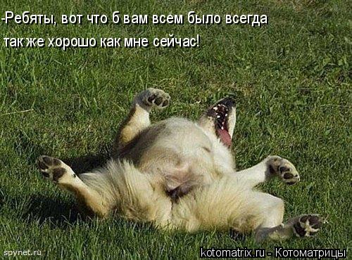 4743317_mW (500x370, 62Kb)