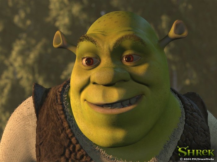 4743317_SHREK016 (700x525, 53Kb)