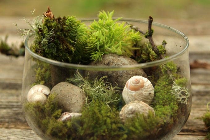 DIY-terrarium-apieceofrainbowblog-12 (680x453, 225Kb)