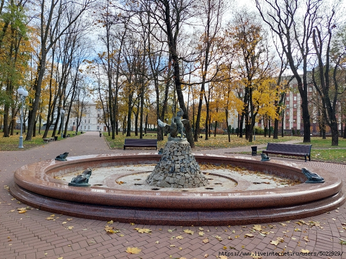 20241026_115004 (700x525, 476Kb)
