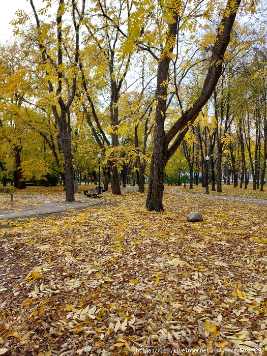 20241026_122643 (525x700, 571Kb)