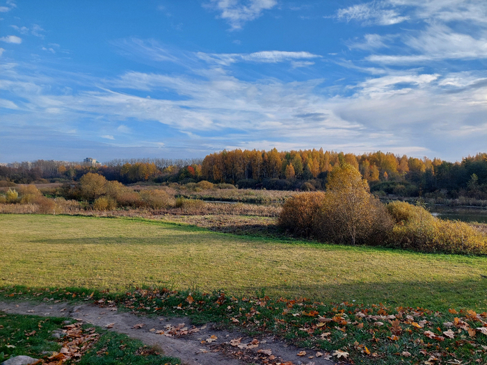 20241026_155236 (700x525, 516Kb)