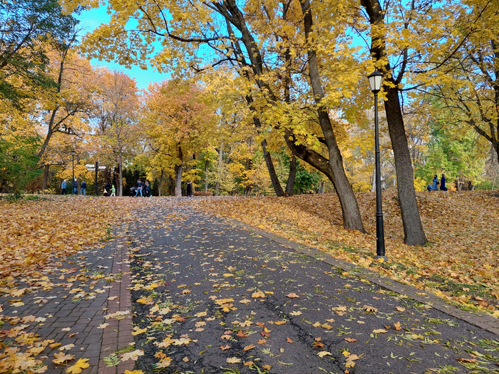 20241026_161020 (700x525, 711Kb)