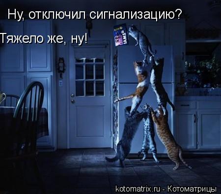 4743317_rp (450x394, 28Kb)
