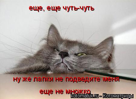 4743317_E6 (450x326, 23Kb)