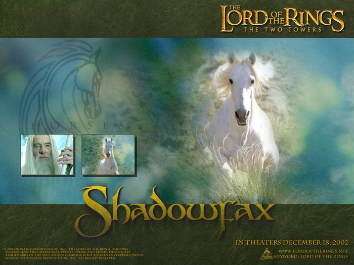 4743317_shadowfax (700x525, 99Kb)