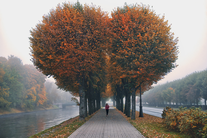 99px_ru_wallpaper_346826_devushka_na_allee_s_osennimi_derevjami_sanktpeterburg_rossija (700x467, 454Kb)