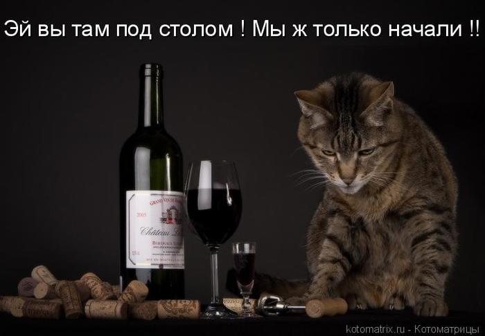 4743317_pZ (700x486, 33Kb)