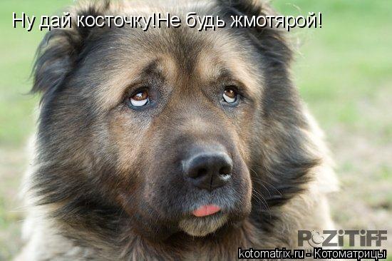 4743317_UY (550x366, 41Kb)