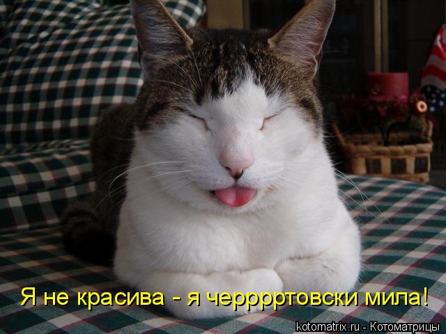 4743317_y (640x480, 49Kb)