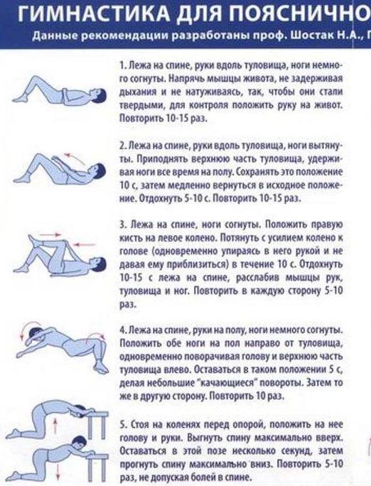 3109898_gimnastikapoyasnicaweb_1 (522x684, 74Kb)