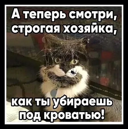 4743317_i_6 (449x450, 79Kb)