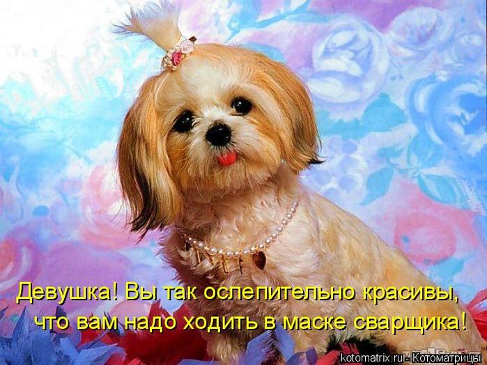 4743317_l (700x524, 70Kb)