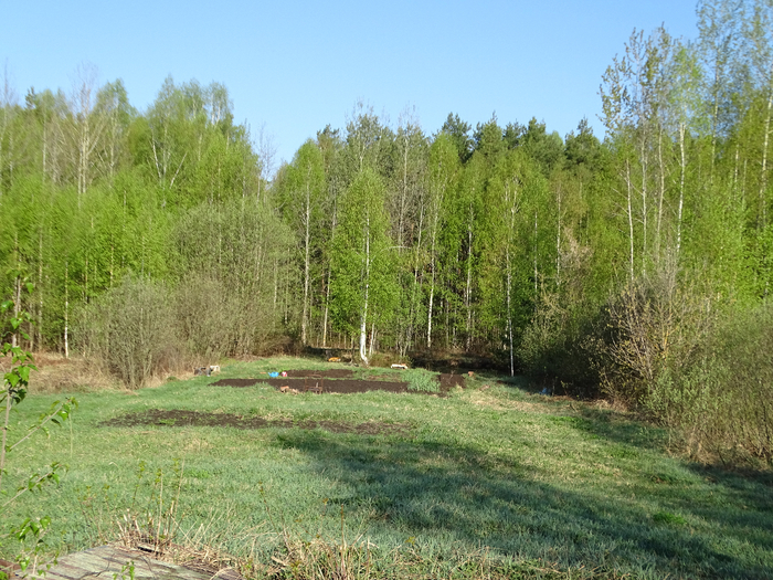 DSC00561 (700x525, 527Kb)